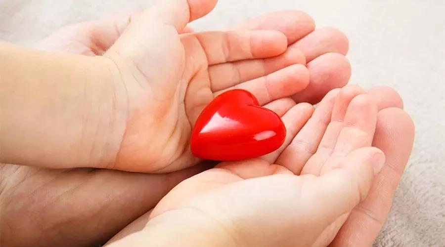 吉林省红十字会开展“2019年人体器官捐献志愿登记进校园主题宣传周”活动1.jpg